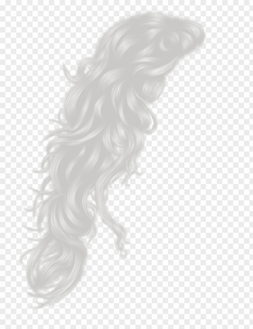 Long-haired Beauty Hairstyle Long Hair Coloring PNG