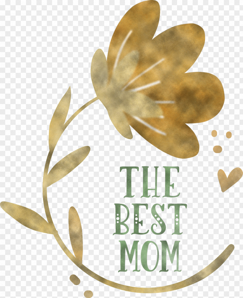 Mothers Day Happy PNG