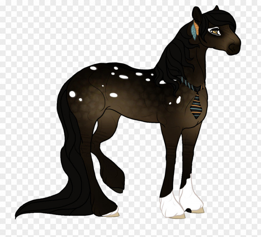 Mustang Pony Foal Stallion Colt PNG