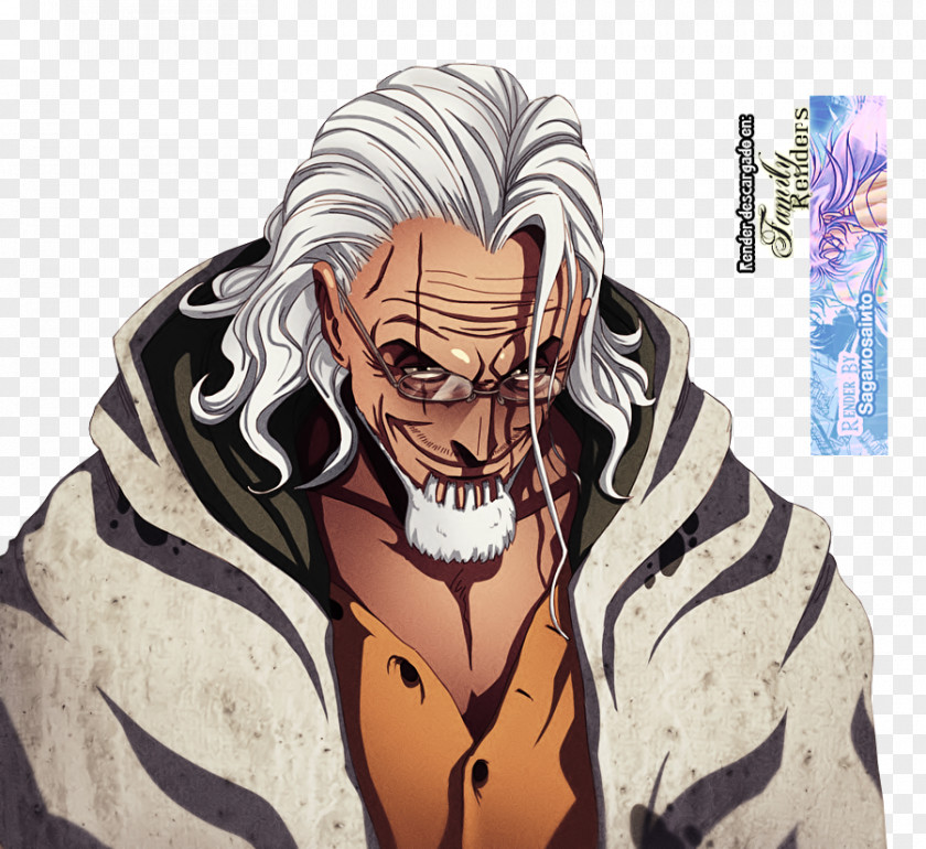 One Piece Roronoa Zoro Monkey D. Luffy Silvers Rayleigh Shanks Garp PNG