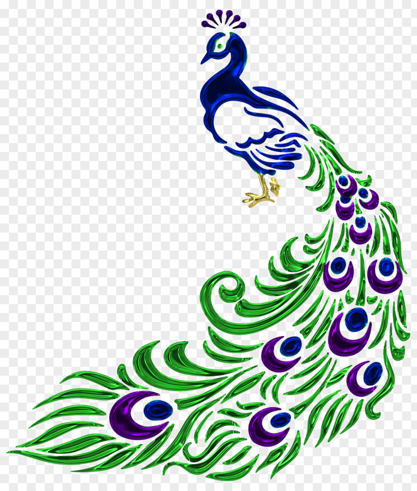 Peackock Stamp Clip Art Peafowl Vector Graphics Image Drawing PNG