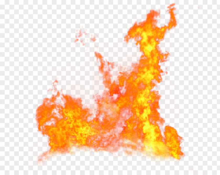 Red Fresh Flame Effect Element Fire PNG