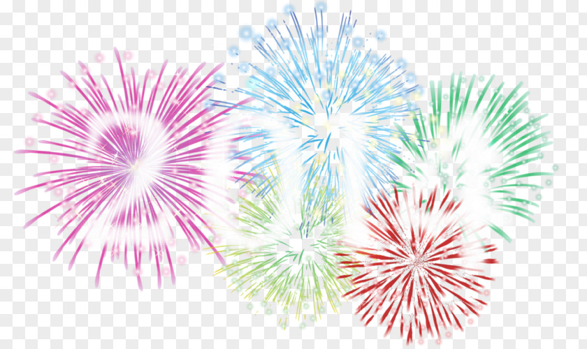 Spend Flowers On New Year's Day Eve Fireworks Christmas Fond Blanc PNG
