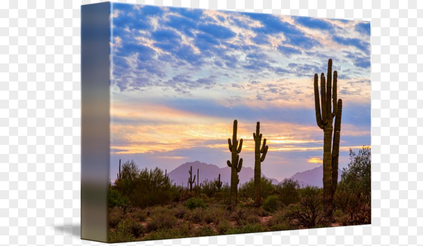 Sunrise Desert Canvas Print Printing Art Photography PNG