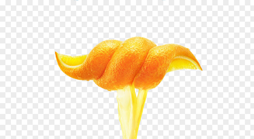 Yellow Orange Peel Juice Smoothie Cocktail PNG