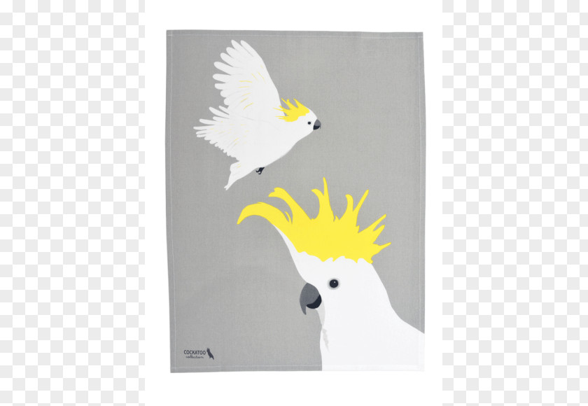 Australia Towel Cockatoo Gift Bird PNG