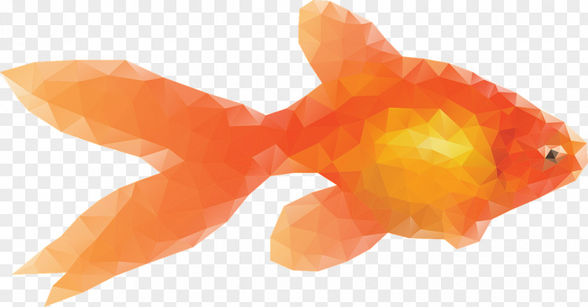 Diamond Decoration Goldfish Carassius Auratus Pixabay Clip Art PNG