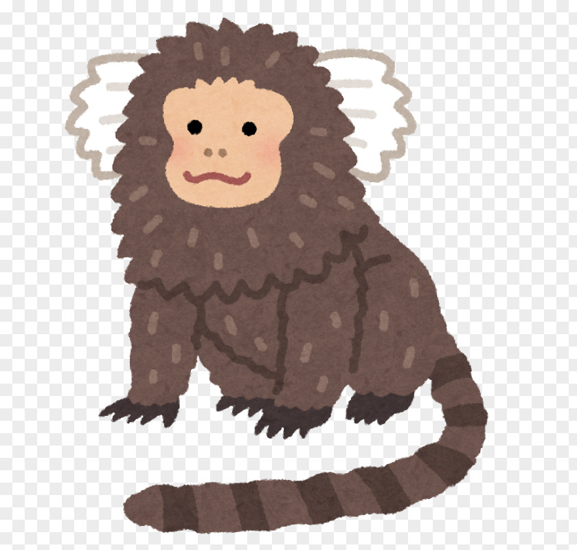 Monkey Primate Common Marmoset いらすとや PNG