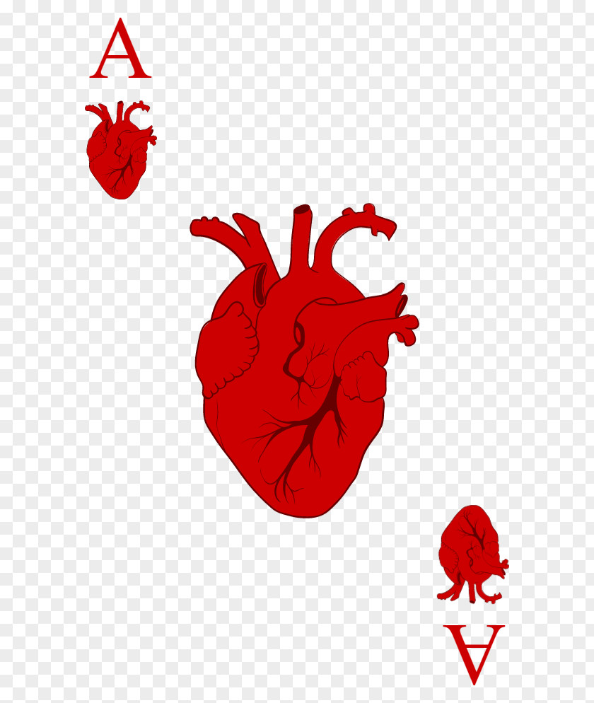 Ace Of Heart Spades Falklands War Falkland Islands Vector Graphics Image PNG