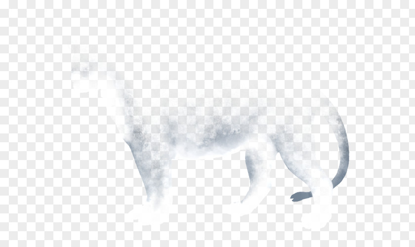 Cat Canidae Dog White Fur PNG