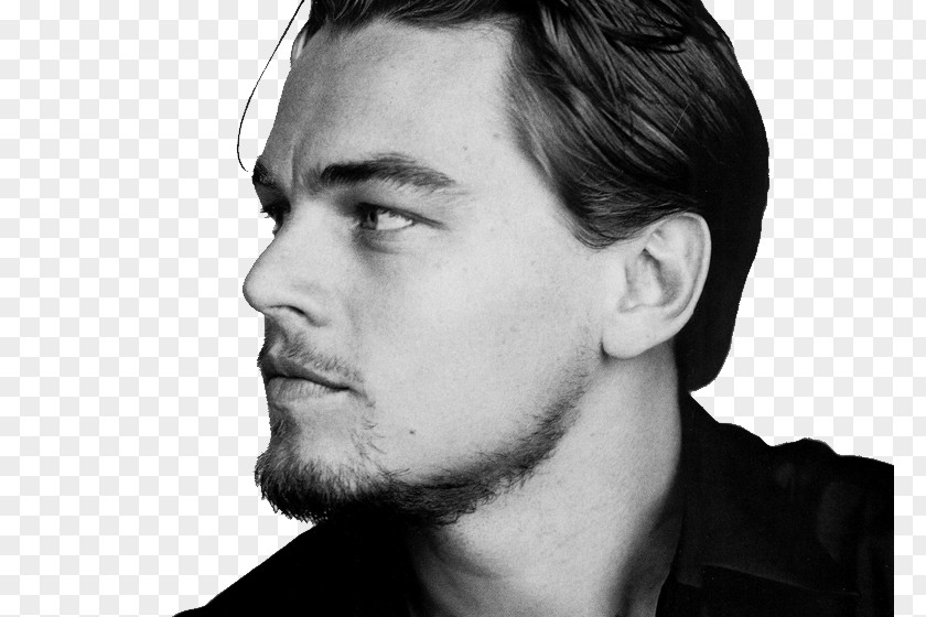 Leonardo DiCaprio Django Unchained Actor Film Producer Director PNG