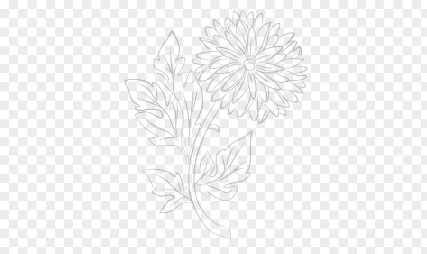 Chrysanthemum Flower Black And White Monochrome Photography Drawing PNG