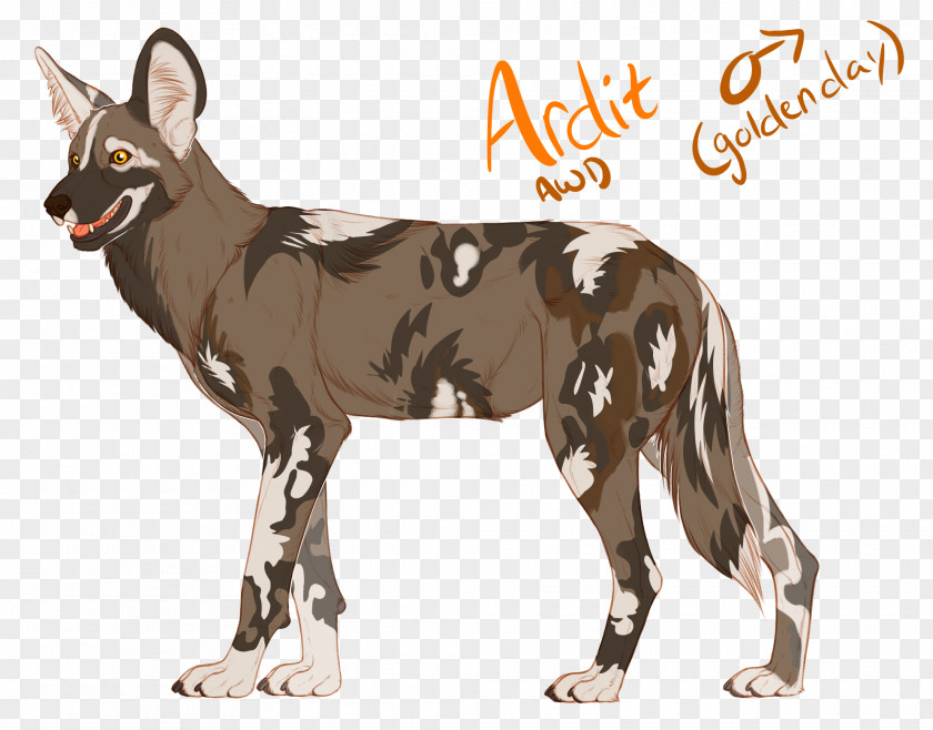 Dog Breed Coyote Dhole Red Wolf PNG