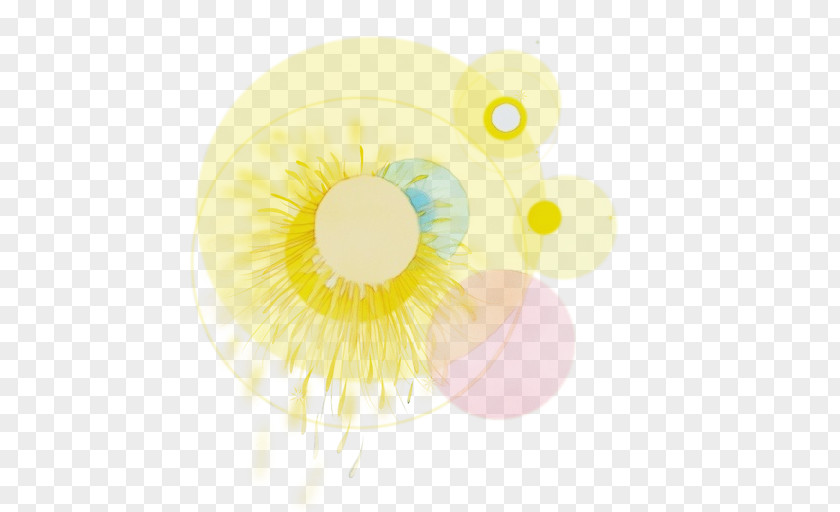 Iris Eye Yellow Circle Clip Art PNG