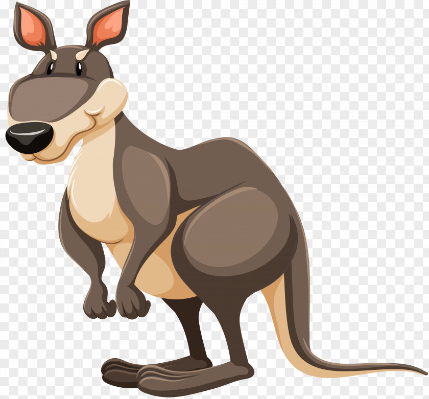 Kangaroo Red Clip Art PNG