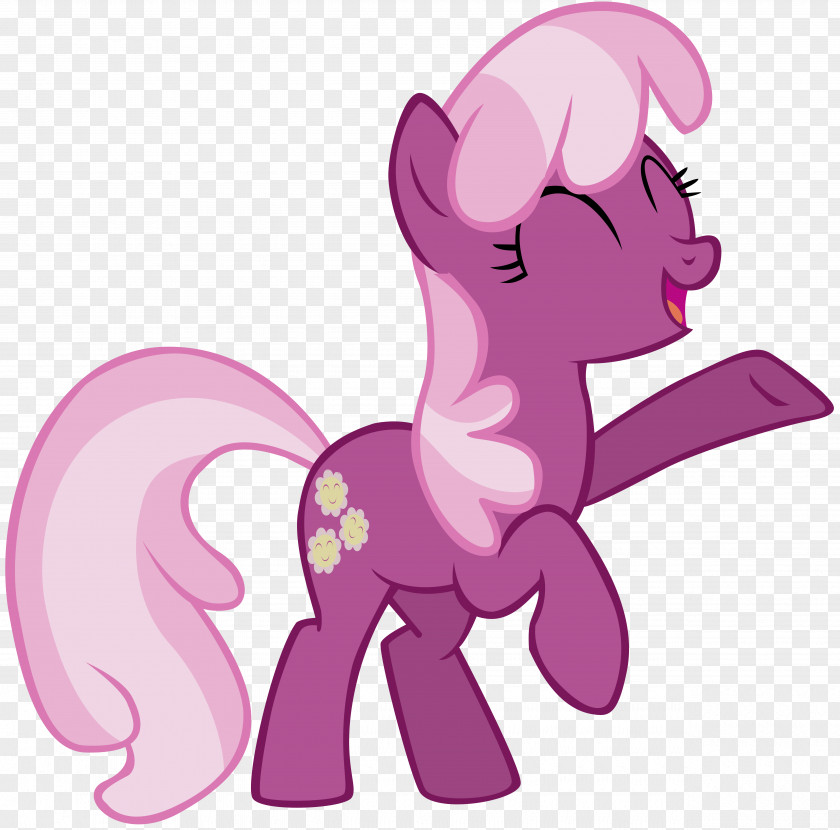 Pony My Little Pony: Friendship Is Magic Fandom Rarity Rainbow Dash PNG
