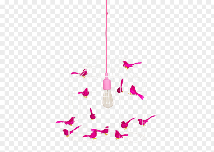 Bird Birdcage Lamp Light PNG