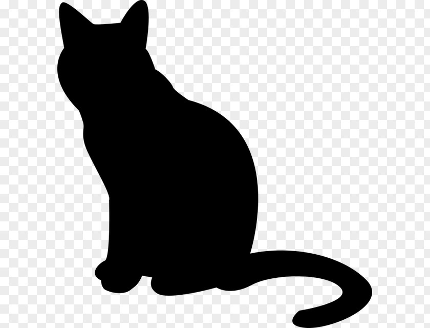 Black Cat Snout Small To Medium-sized Cats Tail Silhouette Whiskers PNG