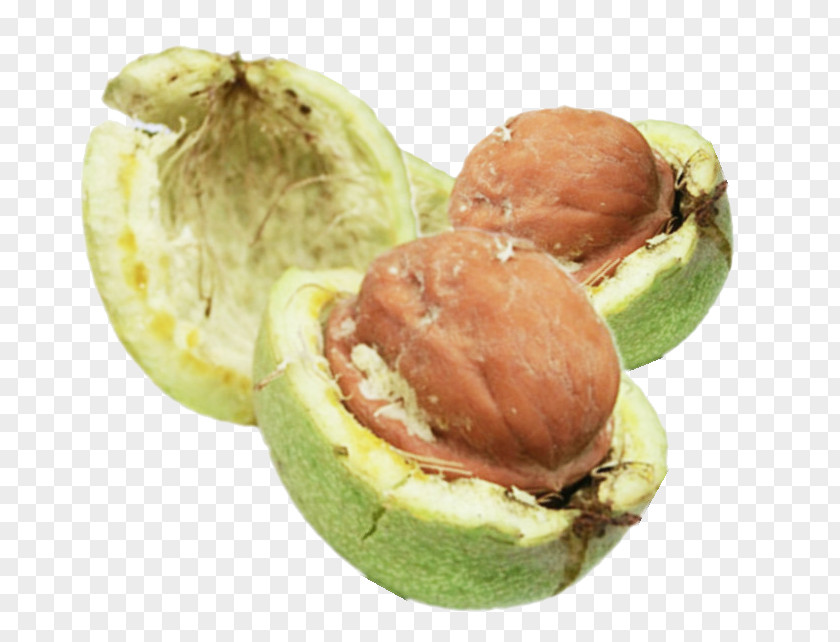 Freshly Picked Walnuts Walnut Peel PNG