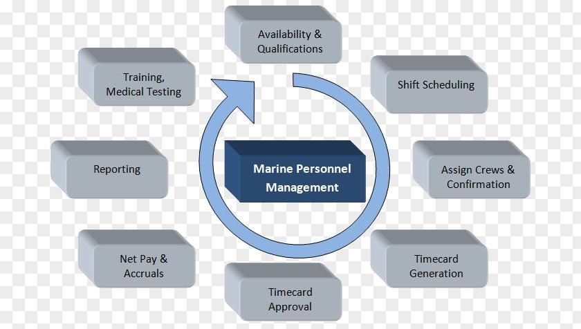 Management Personnel Purchasing Procurement Process PNG