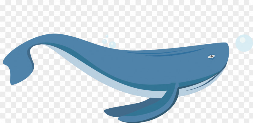 A Beluga Whale Furniture Marine Mammal PNG