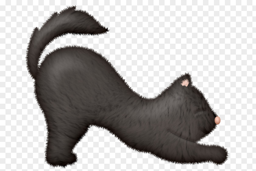 Fuzzy Caterpillar Whiskers Kitten Black Cat Bear PNG