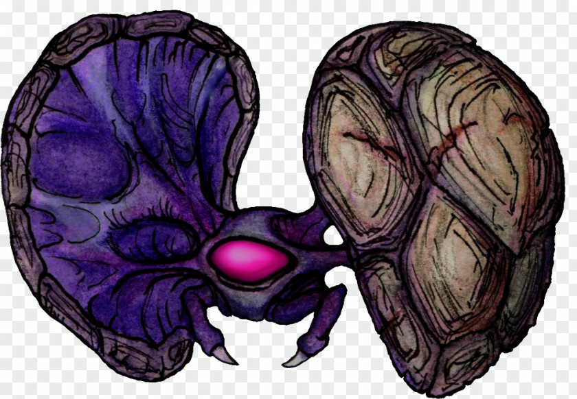 Mosquito Smasher Metroid II: Return Of Samus Metroid: Returns Database Bestiary Skull PNG