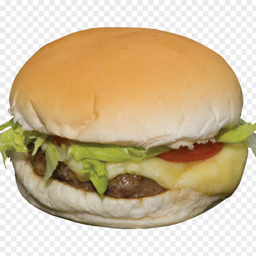 Pizza Cheeseburger Fast Food Lanchonete Da Lombada Breakfast Sandwich PNG