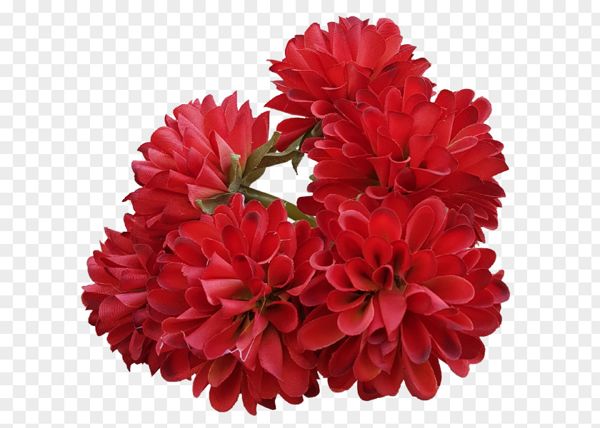 Flower Carnation Cut Flowers Floral Design Bouquet PNG