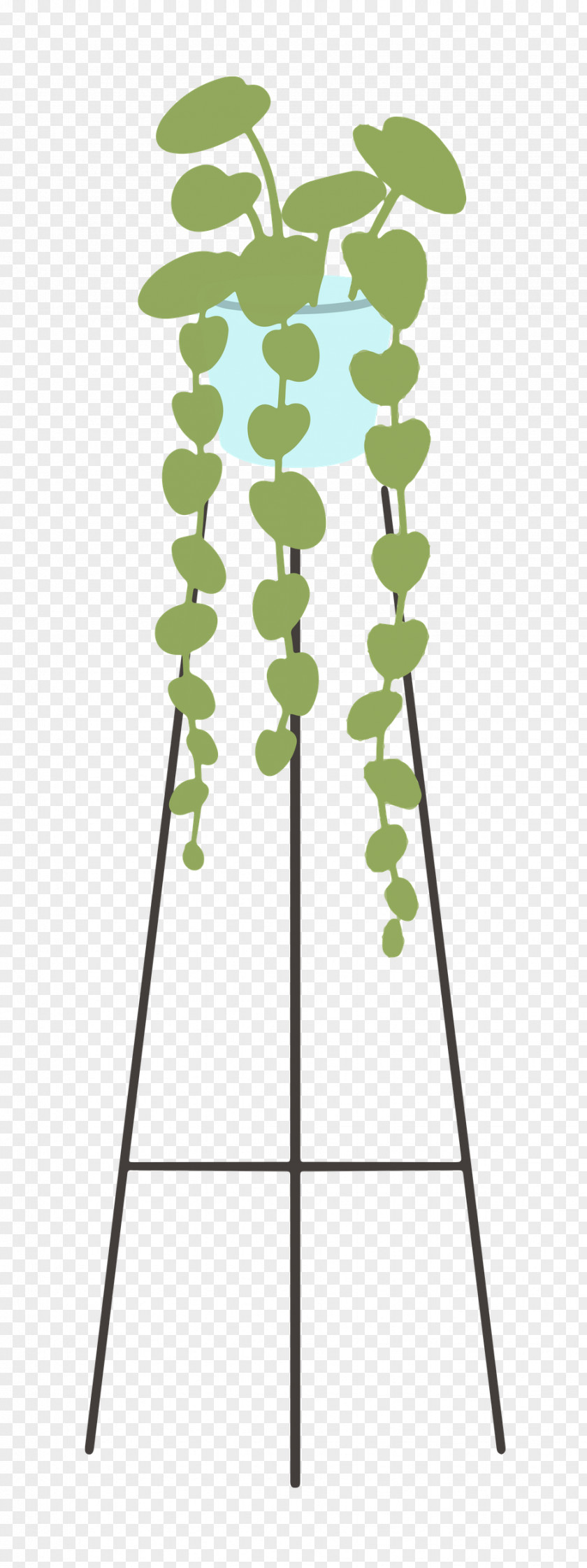 Leaf Plant Stem Angle Line Green PNG