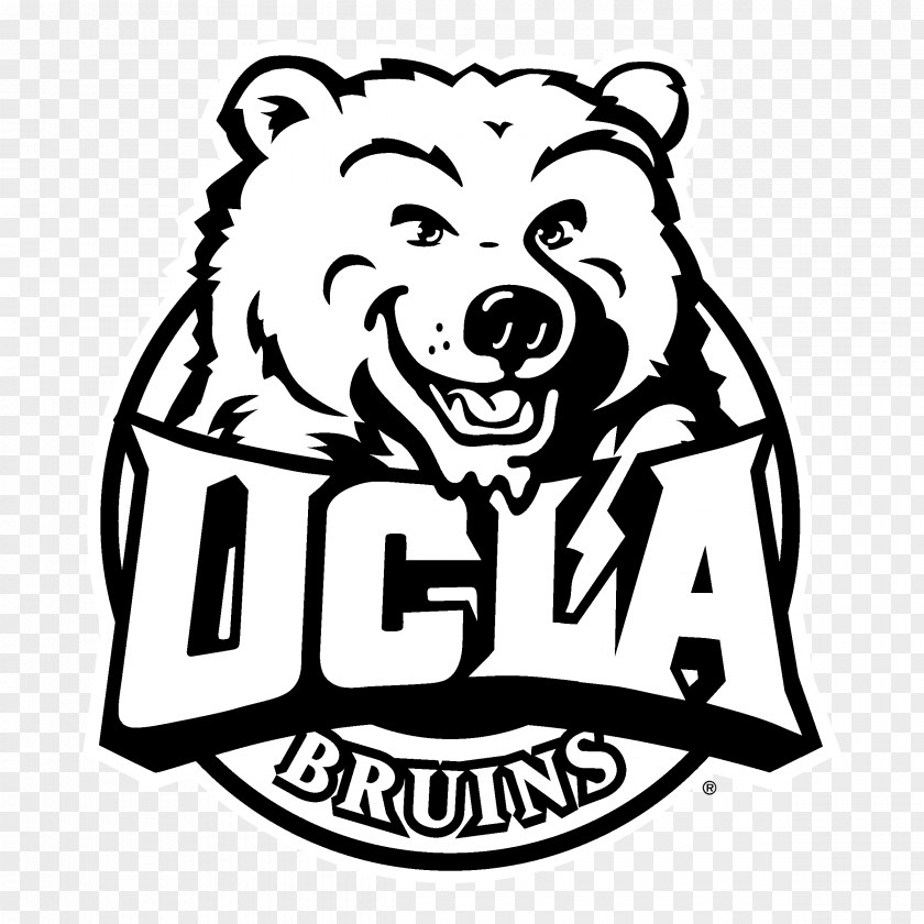 Ucla University Of California, Los Angeles UCLA Bruins Football Men's Basketball Women's T-shirt PNG