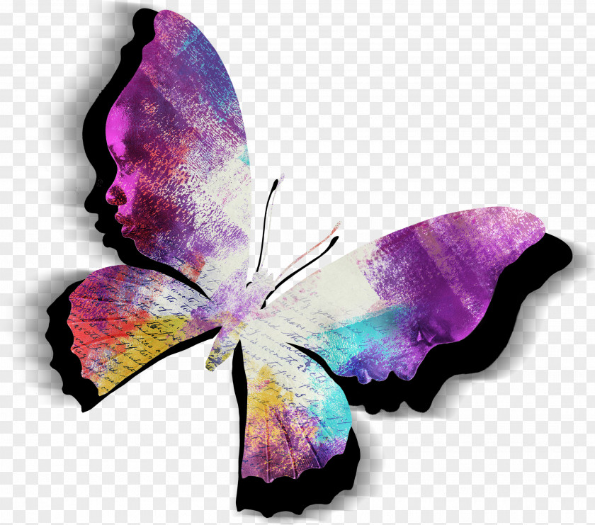 Color Butterfly The Purple Violet Magenta PNG