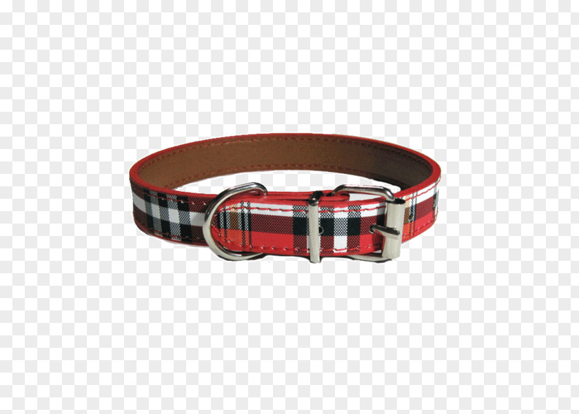 Dog Collar Belt Buckle PNG