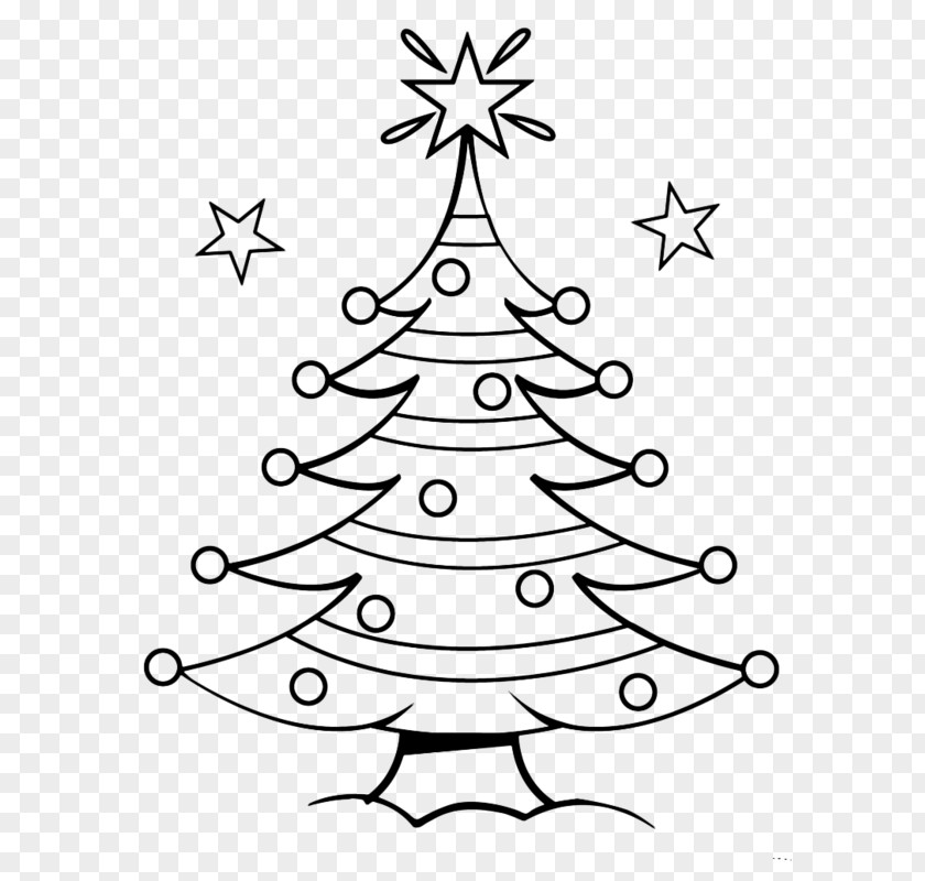 Evergreen American Larch Christmas Tree Line Drawing PNG