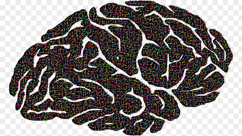 Molecular Structure Background Brain Neuron Clip Art Image Nervous System PNG
