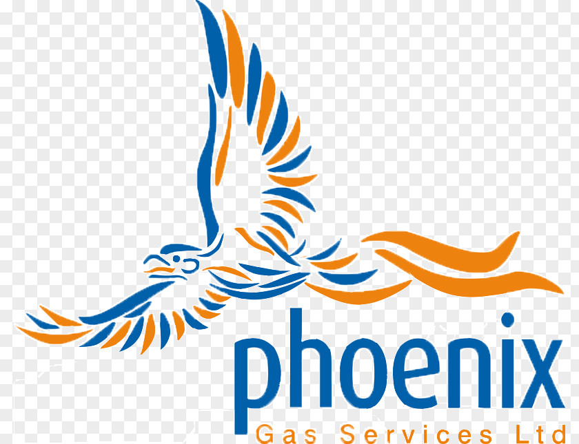 Phoenix Gas Services Limited Company Boiler Chevron Corporation PNG
