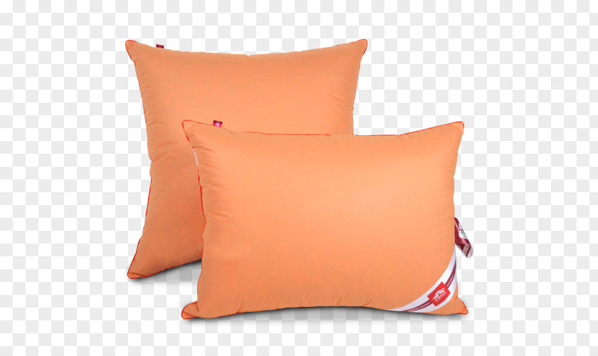 Pillow Cushion Throw Pillows Kariguz Down Feather PNG