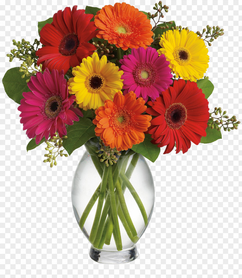 Vase Flower Bouquet Transvaal Daisy Floristry Gift PNG