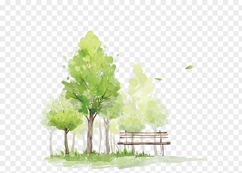 Watercolor Trees How To Paint In Painting Sketch PNG
