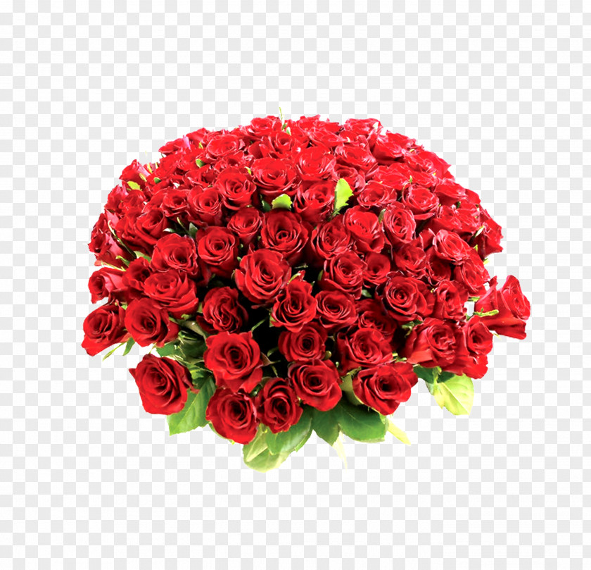 Floral Elements .de Red Clip Art PNG