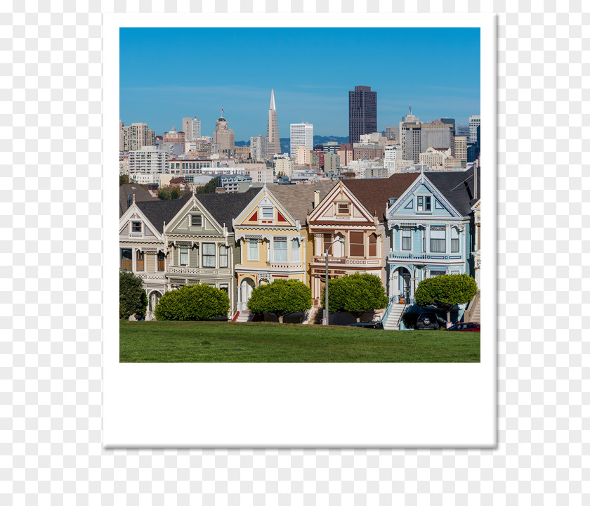 House Painted Ladies Buena Vista Park Photography PNG