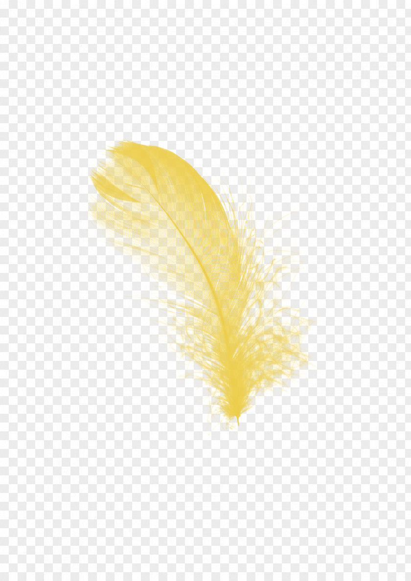 Turkey Feather Yellow Image Design PNG