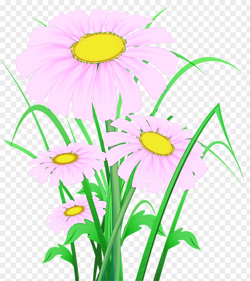 Cut Flowers Wildflower Background PNG