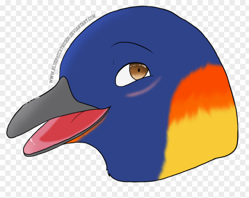 Penguin Water Bird Beak Clip Art PNG