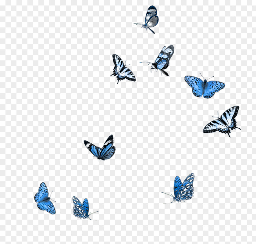 Butterfly Photography Clip Art PNG
