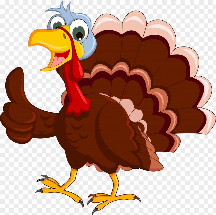 Chicken Rooster Thanksgiving Turkey PNG