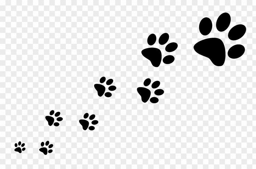 Footprints Dog Walking Pet Sitting Cat PNG