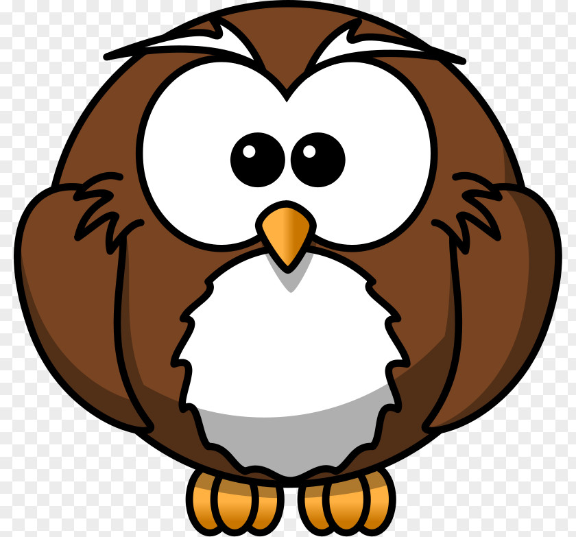 Free Turtle Clipart Owl Cartoon Clip Art PNG