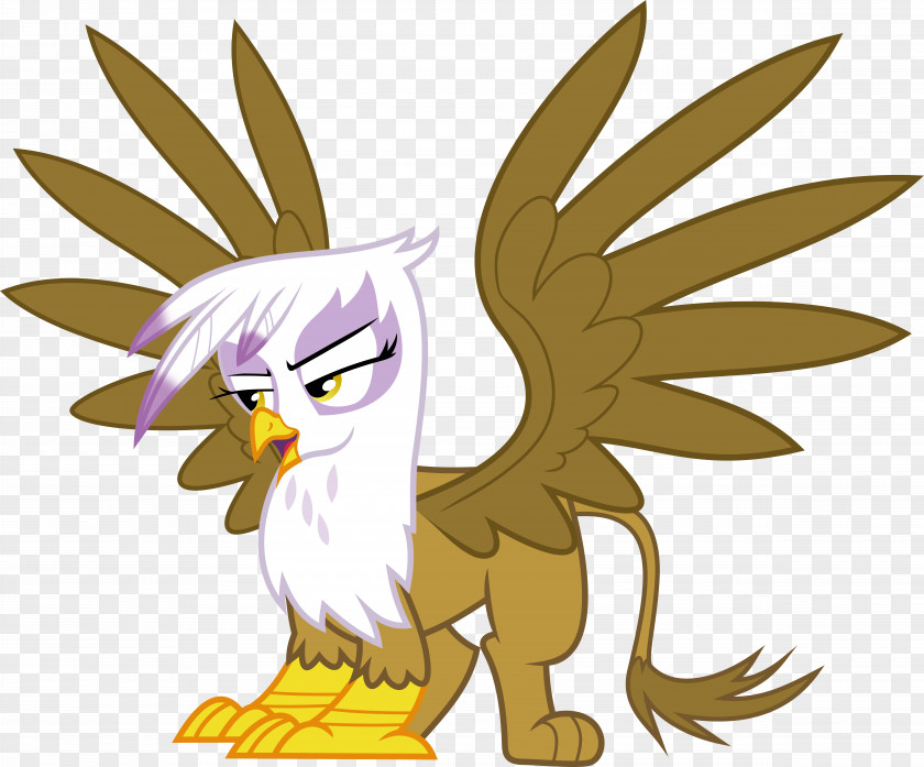 Hawk Rainbow Dash Pony Griffin Derpy Hooves Rarity PNG