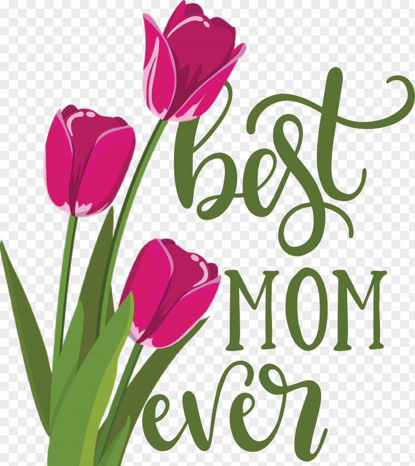 Mothers Day Best Mom Ever Quote PNG